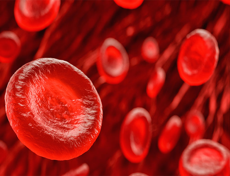 Blood cells