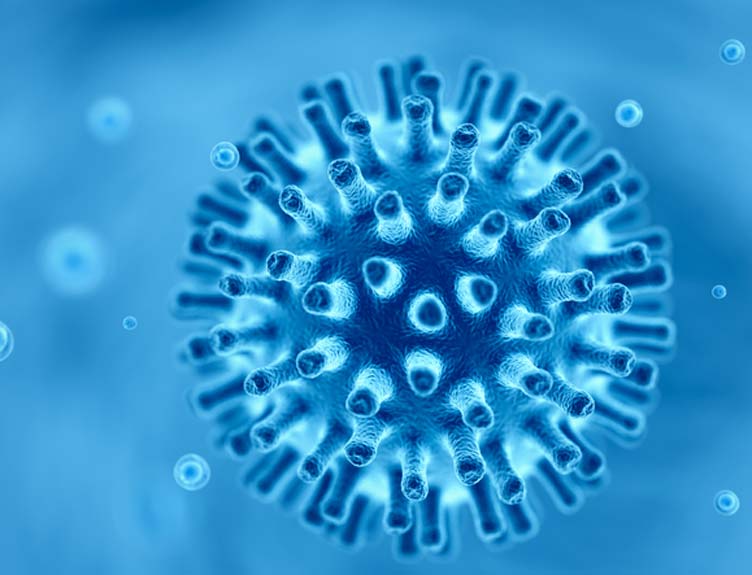 COVID-19 bacteria cell