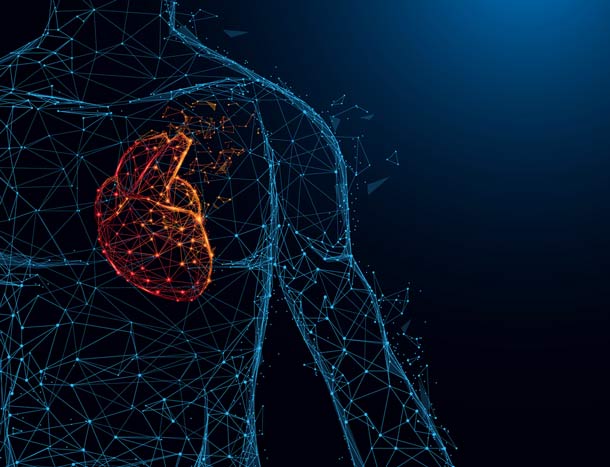 Human heart anatomy form lines and triangles, point connecting network on blue background