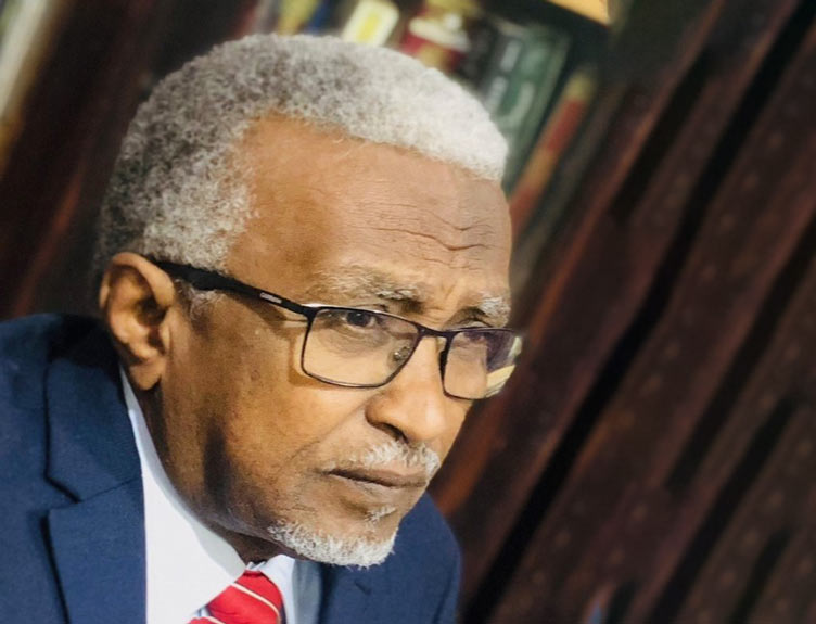 Professor Ahmed Suleiman