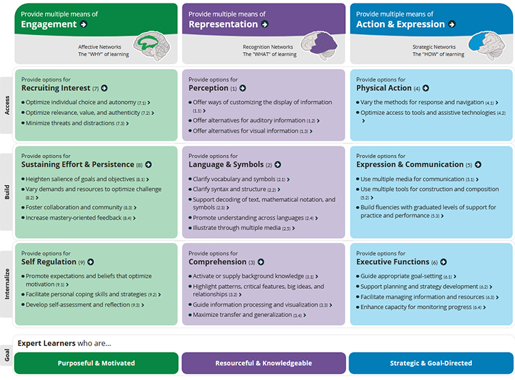 UDL principles graphic.