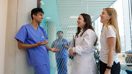 Mix of students in 26 York St