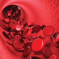 Blood