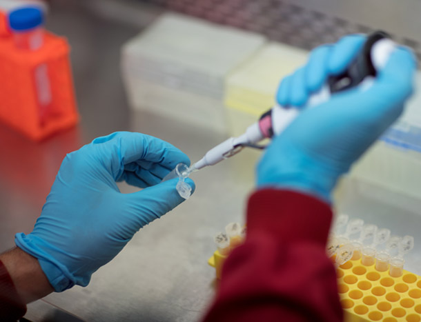 Innovation therapeutics spotlight