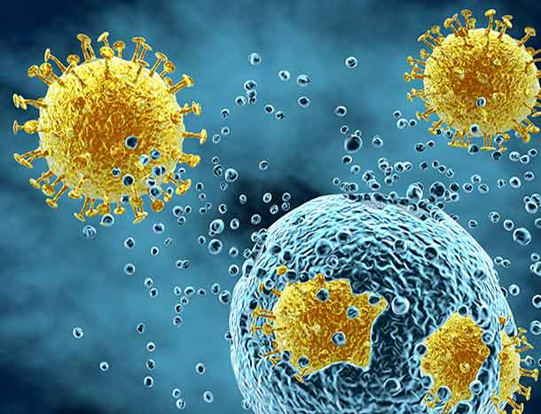 immunity and infection