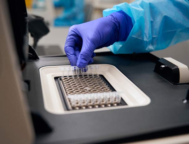 Specialist uses a special apparatus to study biomaterial