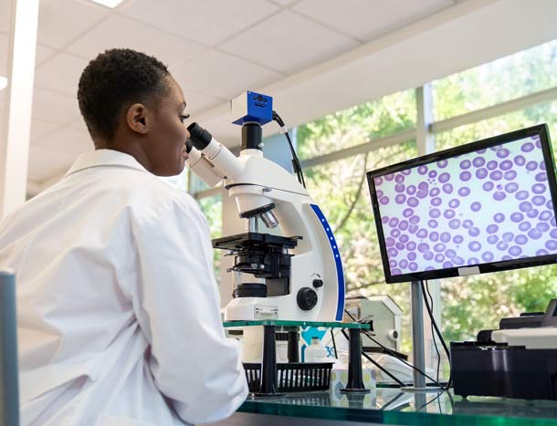 Scientist working in pathology lab