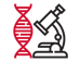 Research icon