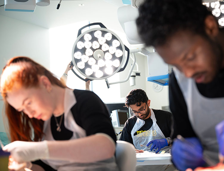 Surgical bootcamp Three students learning surgical techniques.